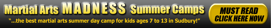 Martial Arts MADNESS Summer Day Camps